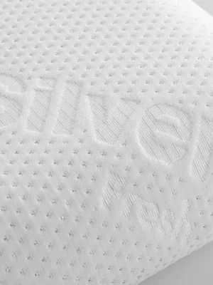 Vzglavnik Silver Fresh Memory